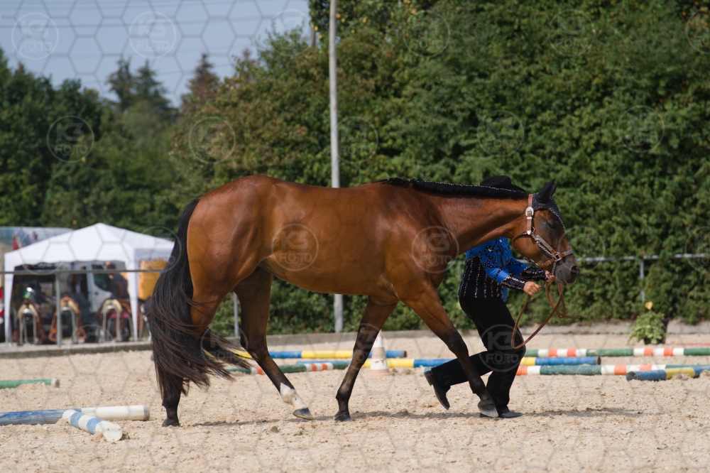 s_batch_A9_00086.jpg